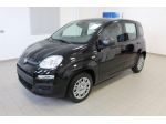 FIAT Panda Panda 1.0 FireFly S&S Hybrid Icon