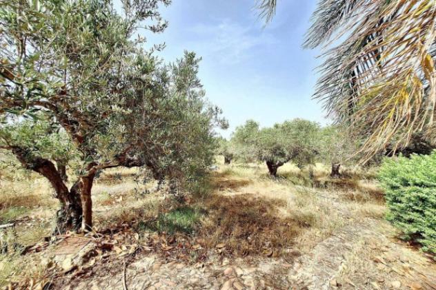 Immobile in asta di 20594 m² in vendita a Misiliscemi - Foto 7