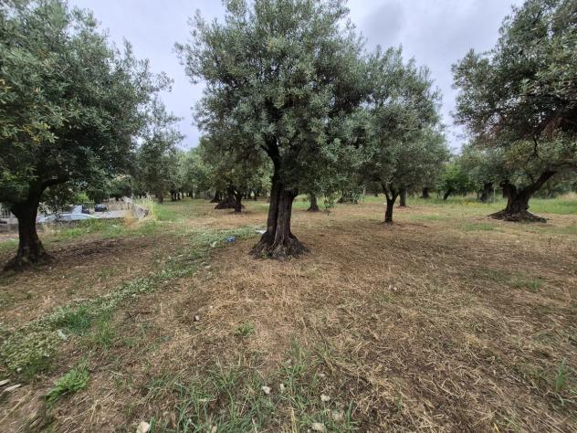 Terreno edificabile in vendita a Lamezia Terme - Foto 4