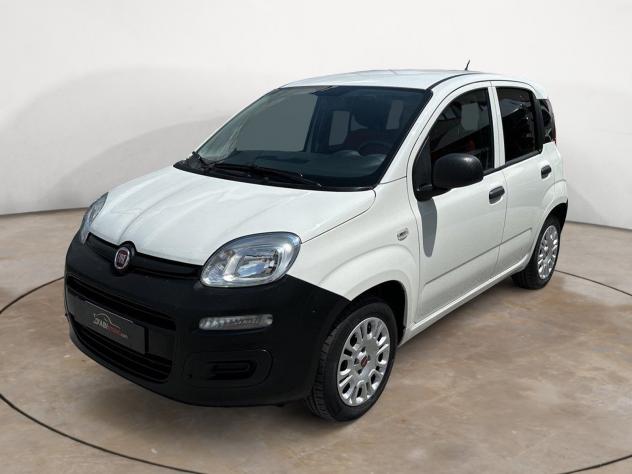 FIAT Panda 1.2 Easy 69 Cv VAN 2 Posti - Radio, Clima, Centralizzata - Foto 2