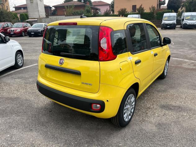 FIAT Pandina Pandina 1.0 firefly hybrid Icon s&s 65cv - Foto 8