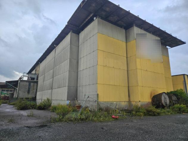 Immobile in asta di 7600 m² in vendita a Crespina e Lorenzana - Foto 4