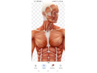 Massaggi - benessere Rimini - MASSOTERAPISTA Tel:3471134562
