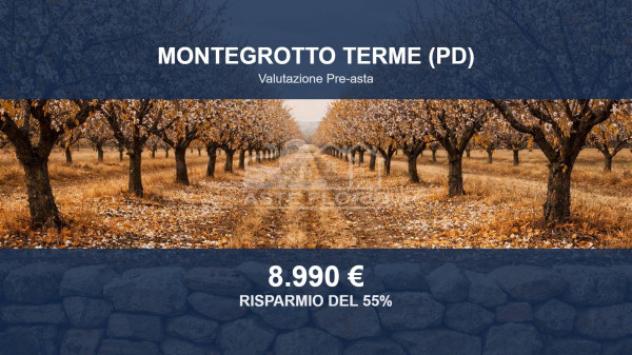 Immobile in asta di 13973 m² in vendita a Montegrotto Terme