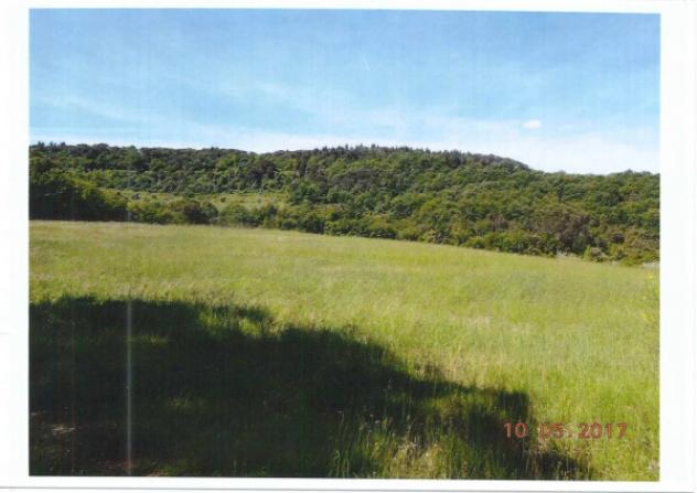 Immobile in asta di 80320 m² in vendita a Montespertoli - Foto 2