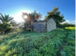 Terreno in vendita a Noto