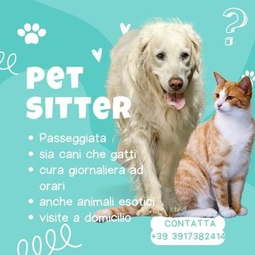 Pet sitting