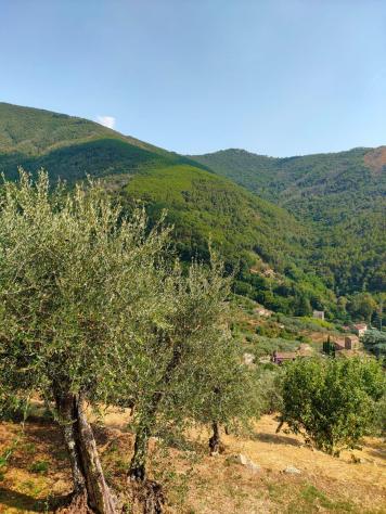 Casale in vendita a Castelmaggiore - Calci 160 mq Rif: 1281754 - Foto 5