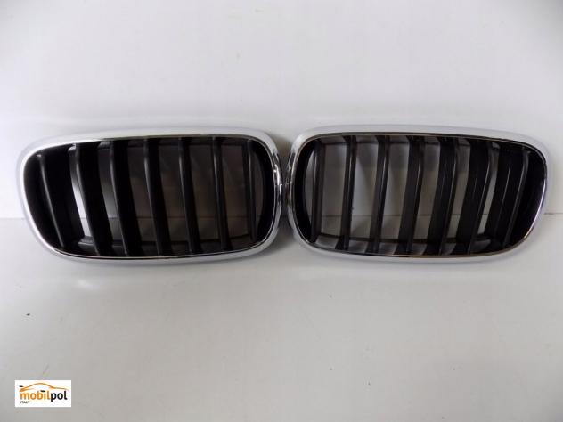 BMW X5 F15 Reni / Griglia Paraurti - 3818