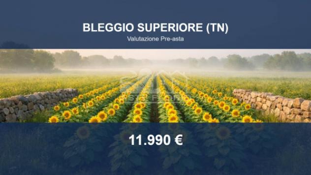 Immobile in asta di 8201 m² in vendita a Bleggio Superiore