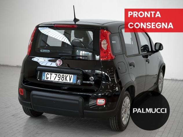 FIAT Panda Panda 1.0 firefly hybrid s&s 70cv - Foto 3
