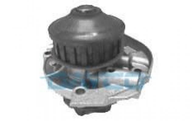 DAYCO Pompa acqua DP008