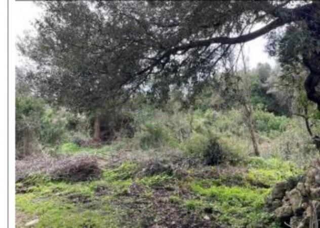 Immobile in asta di 23081 m² in vendita a Osilo - Foto 13