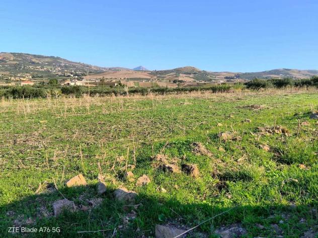 Uliveto in vendita a Valderice - Foto 4