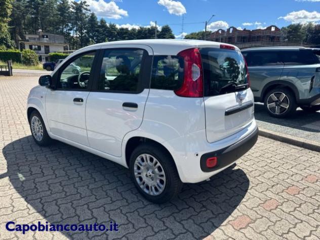 FIAT Panda 1.0 FireFly S&S Hybrid POP KM0 PROMO rif. 23776922 - Foto 6