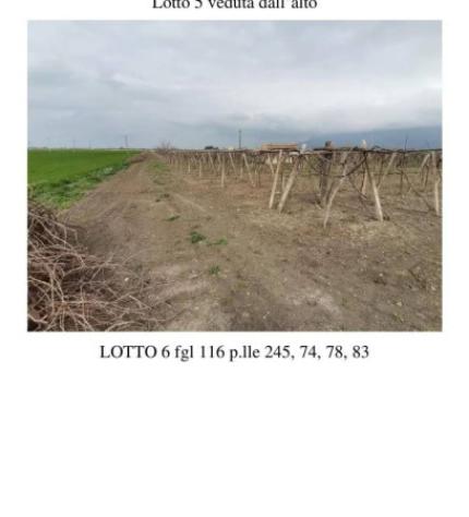 Immobile in asta di 78 m², box auto in vendita a San Severo - Foto 6