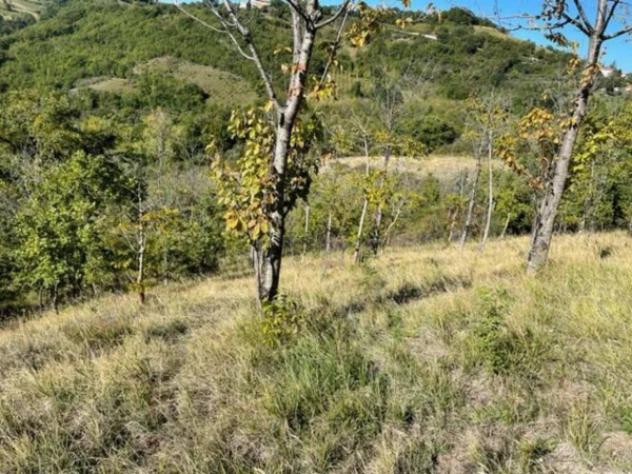 Immobile in asta di 21005 m² in vendita a Gualdo Tadino - Foto 3