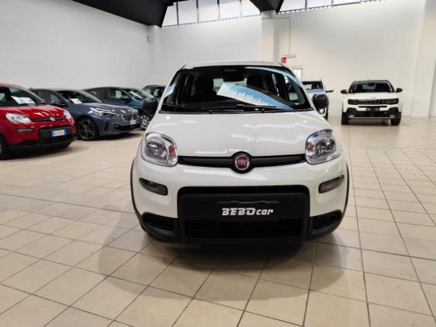 FIAT Panda 1.0 FireFly S&S Hybrid rif. 21774725 - Foto 2