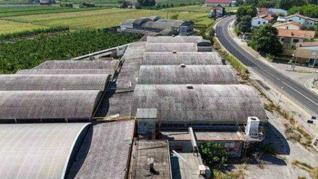 Immobile in asta di 8957 m² in vendita a Cotignola - Foto 14