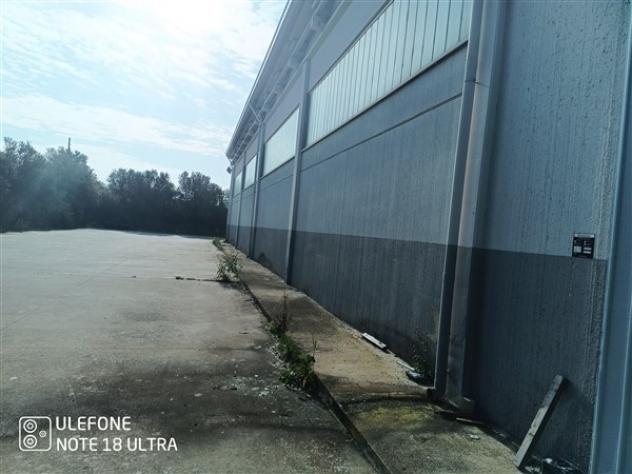 USINI periferia CAPANNONE di 400mq circa com cellafrigo e ufficio - Foto 4