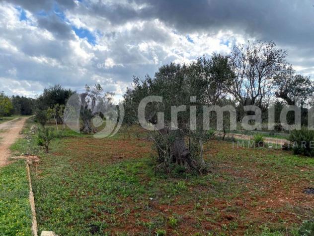 Terreno edificabile in vendita a Sannicola - Foto 4
