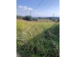 Terreno edif. residenziale in vendita a Chientina - Terricciola 1000 mq  Ri &hellip;