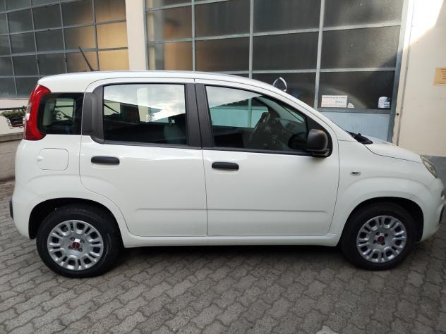 Fiat Panda 1.2 69CV Easy - Foto 4