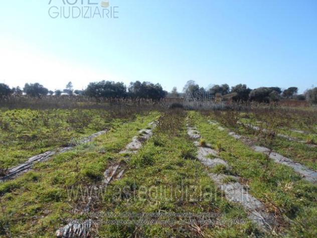 IMMOBILI-ALTRA CATEGORIA-Prati di Coppola, Latina