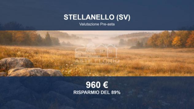 Immobile in asta di 5810 m² in vendita a Stellanello