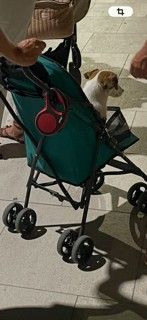 regalo passeggino per cagnolino - Foto 2