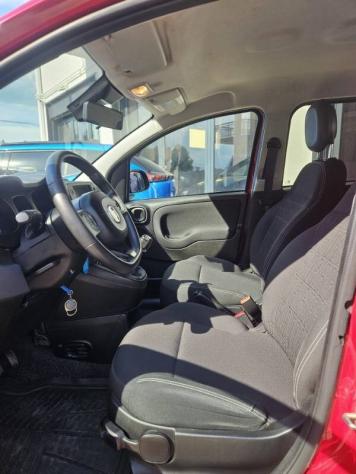 Fiat Panda (Red) 1.0 firefly hybrid City Cross s&s 70cv 5p.ti - Foto 7
