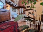 Appartamento in vendita a Carrara 145 mq  Rif: 1149006