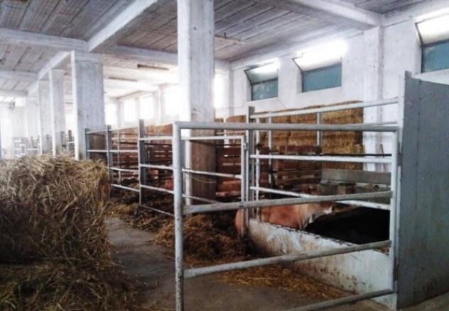 Immobile in asta di 492 m² con più di 5 locali e box auto in vendita a Scurcola Marsicana - Foto 8