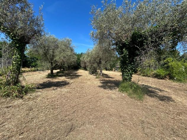 Terreno edif. residenziale in vendita a Luni 770 mq Rif: 1427937 - Foto 6
