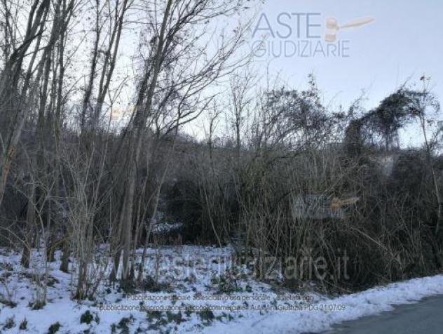IMMOBILI-ALTRA CATEGORIA-Localita' Moiolo di Cassano SNC - Foto 4