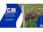 Immobile in asta di 2000 m² in vendita a Roggiano Gravina