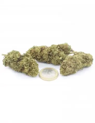 Lemon Haze - Foto 3