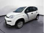 FIAT Panda 1.0