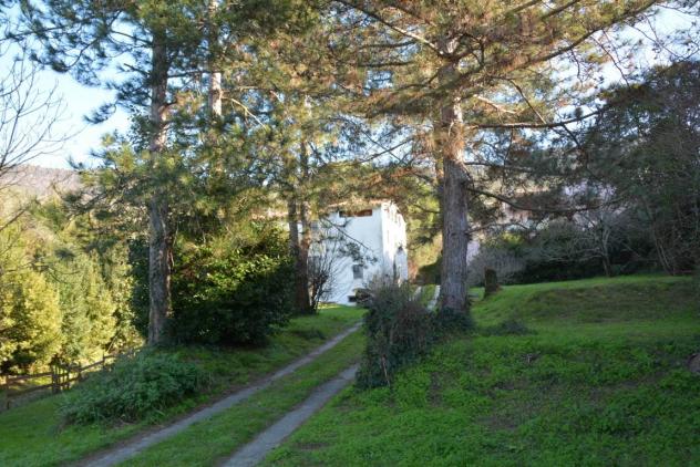 Vendita Rustico casale da 400 mq con giardino - Foto 20
