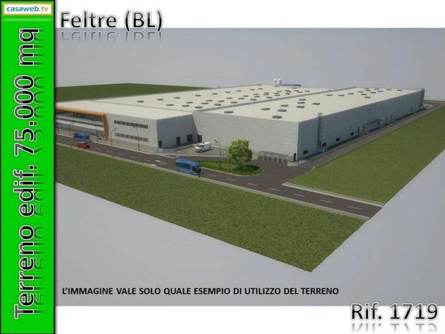 1719 - Terreno Edif. 75.000 mq a Feltre (BL) Rif. 1719 - Foto 3