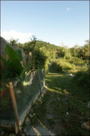 Rustico in vendita a Sarzana - Foto 4