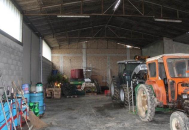 Immobile in asta di 360 m² in vendita a Citerna - Foto 3