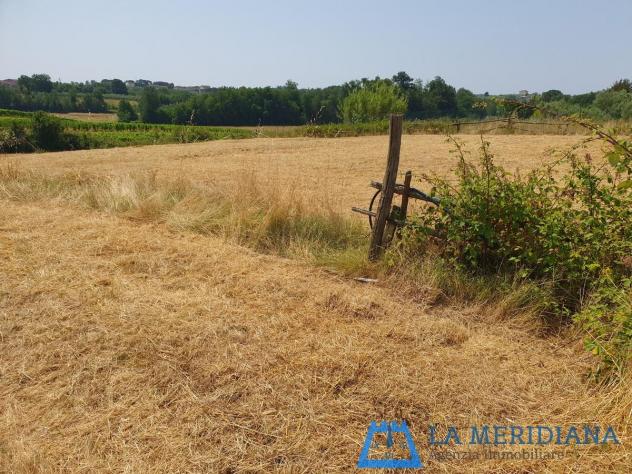 Terreno agricolo in vendita a Lamporecchio 10000 mq Rif: 1362349