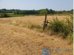 Terreno agricolo in vendita a Lamporecchio 10000 mq  Rif: 1362349