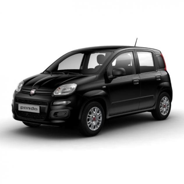 FIAT Panda 1.0 FireFly S&S Hybrid rif. 23904505