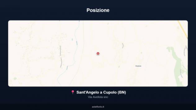 Immobile in asta di 190 m² in vendita a Sant'Angelo a Cupolo - Foto 12