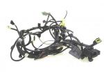 CABLAGGIO SUZUKI BURGMAN 400 LUX 2012 - 2016 3661005HR0 MAIN WIRING
