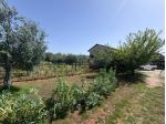 Agricolo in Via dei Piceni