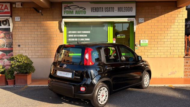 Fiat Panda 1.0 FireFly S&S Hybrid - Foto 6