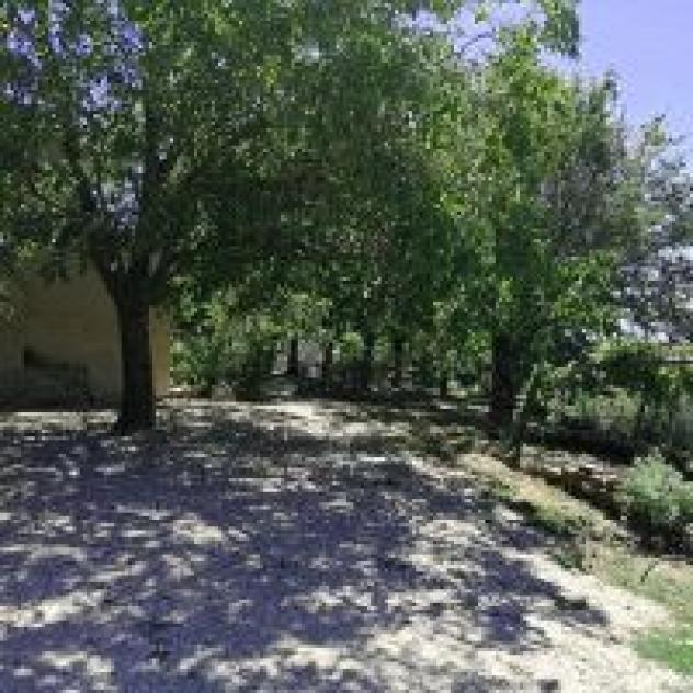 Fattoria Ma' Falda Societa' Agricola - Foto 2